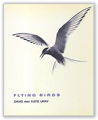 Flying Birds book cover